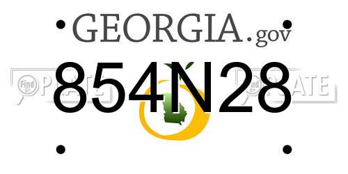 854N28 Georgia License Plate