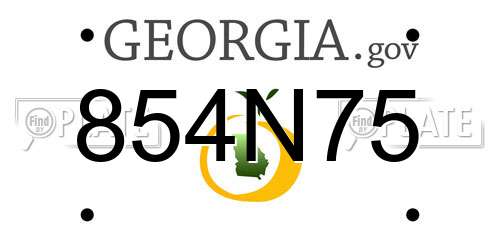 854N75 Georgia License Plate