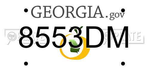 8553DM Georgia License Plate