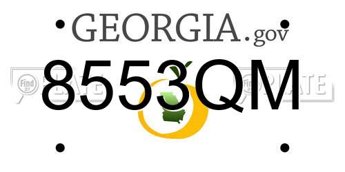 8553QM Georgia License Plate