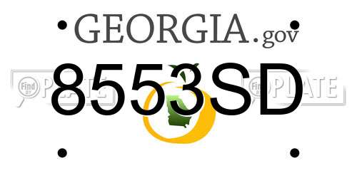 8553SD Georgia License Plate