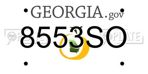 8553SO Georgia License Plate