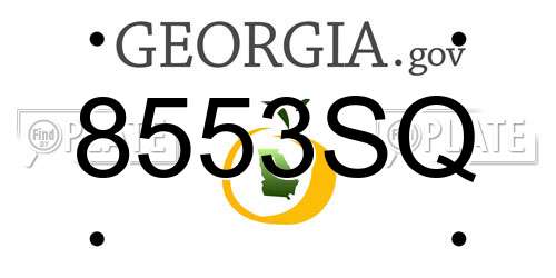 8553SQ Georgia License Plate