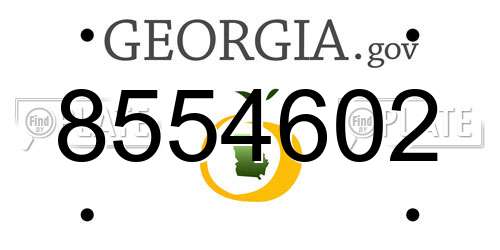 8554602 Georgia License Plate