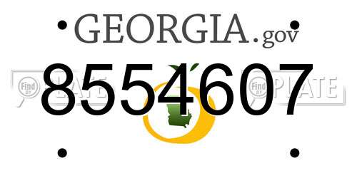 8554607 Georgia License Plate