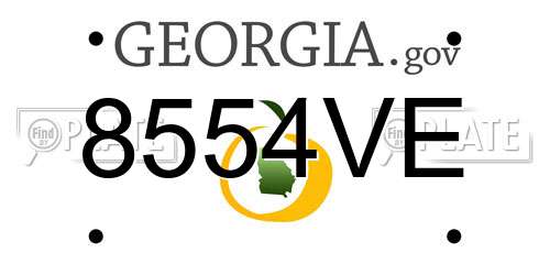 8554VE Georgia License Plate
