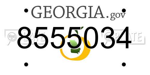 8555034 Georgia License Plate