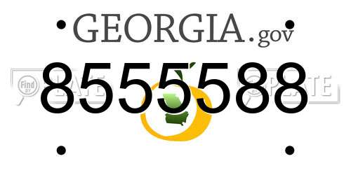 8555588 Georgia License Plate