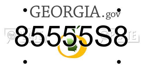85555S8 Georgia License Plate