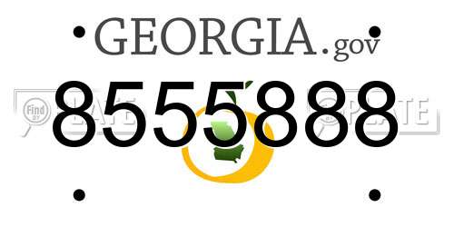8555888 Georgia License Plate