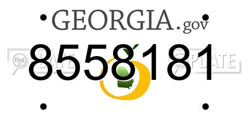 8558181 Georgia License Plate