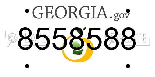 8558588 Georgia License Plate