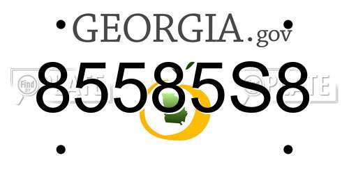 85585S8 Georgia License Plate