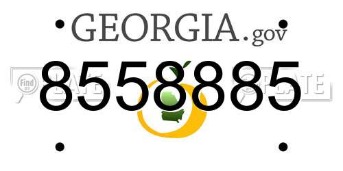 8558885 Georgia License Plate