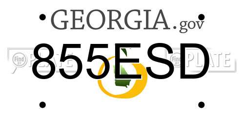 855ESD Georgia License Plate