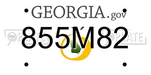 855M82 Georgia License Plate