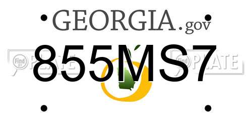 855MS7 Georgia License Plate