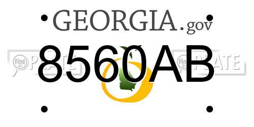 8560AB Georgia License Plate