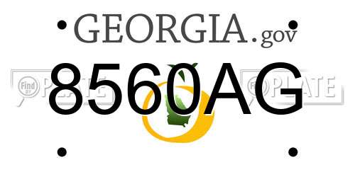 8560AG Georgia License Plate