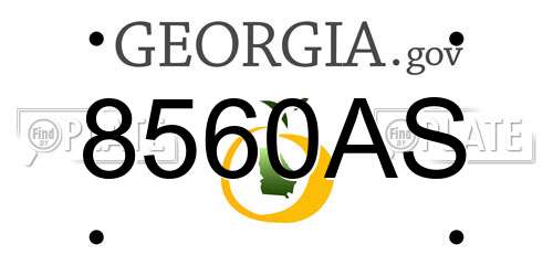 8560AS Georgia License Plate