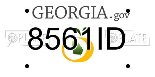 8561ID Georgia License Plate