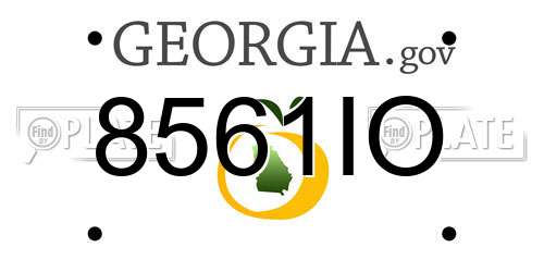 8561IO Georgia License Plate