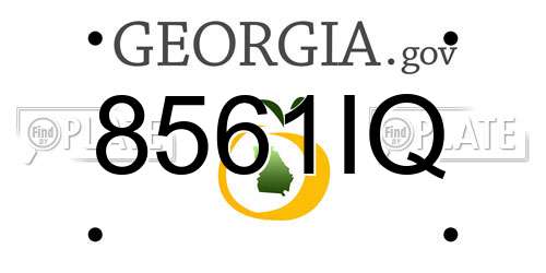 8561IQ Georgia License Plate