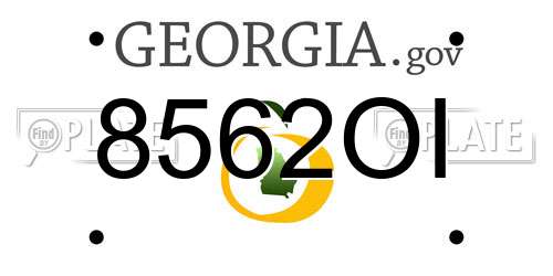 8562OI Georgia License Plate