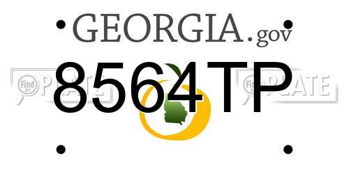 8564TP Georgia License Plate