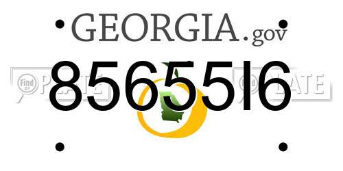 85655I6 Georgia License Plate