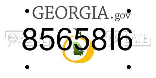 85658I6 Georgia License Plate