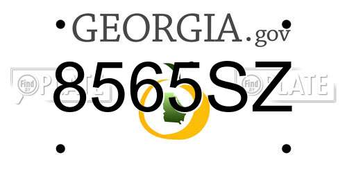 8565SZ Georgia License Plate
