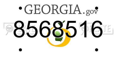 8568516 Georgia License Plate