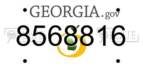 8568816 Georgia License Plate
