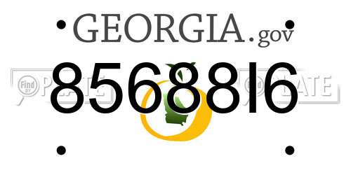 85688I6 Georgia License Plate