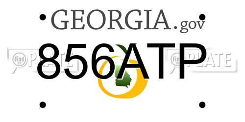 856ATP Georgia License Plate