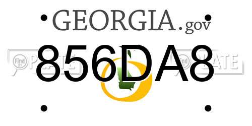 856DA8 Georgia License Plate