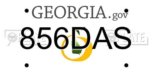 856DAS Georgia License Plate