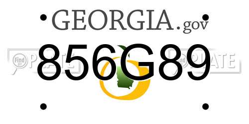 856G89 Georgia License Plate