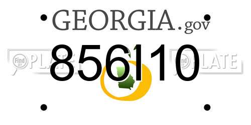 856I10 Georgia License Plate