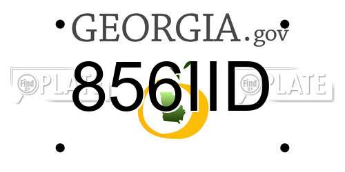 856IID Georgia License Plate