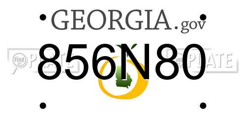 856N80 Georgia License Plate