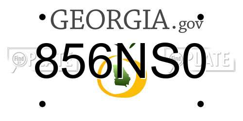 856NS0 Georgia License Plate