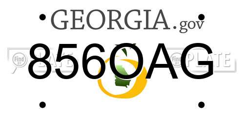 856OAG Georgia License Plate