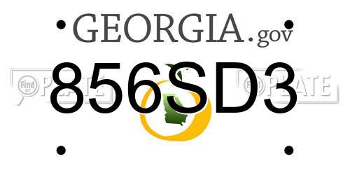 856SD3 Georgia License Plate