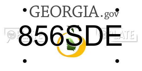 856SDE Georgia License Plate
