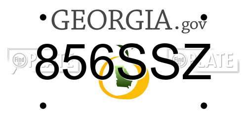 856SSZ Georgia License Plate