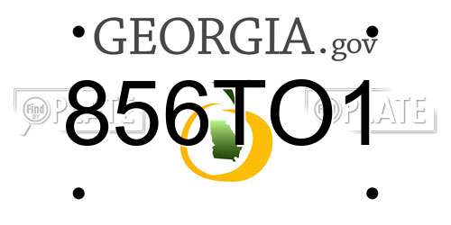856TO1 Georgia License Plate