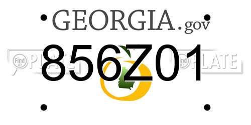 856Z01 Georgia License Plate