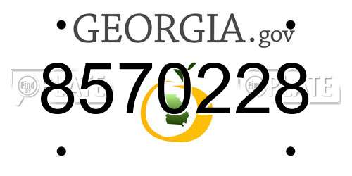 8570228 Georgia License Plate